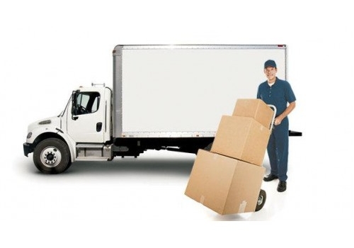 Dịch vụ bốc xếp hàng hóa chuyên nghiệp